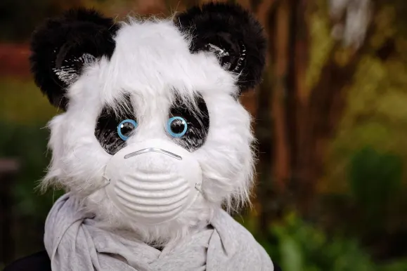 シルバープレイ カジノ サポート